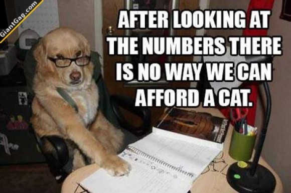 We Can't Afford A Cat